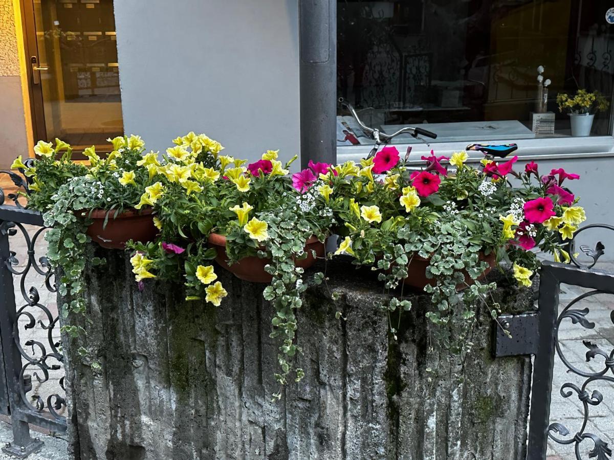 Haus Floralp Apartment Zermatt Exterior foto